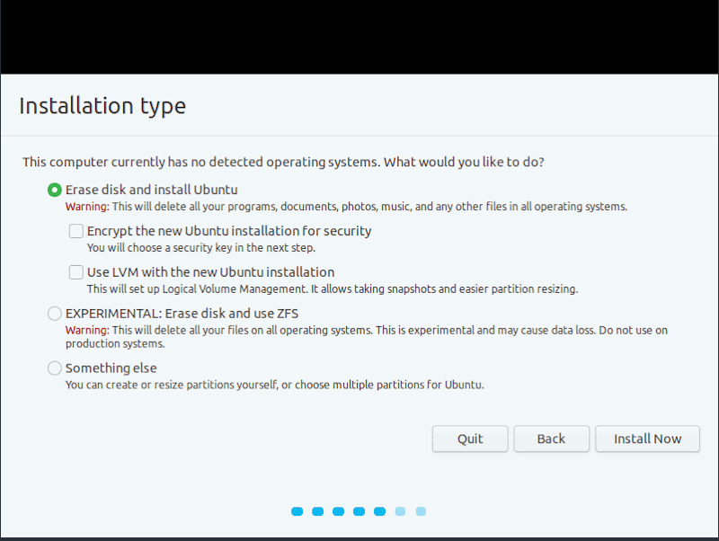 Ubuntu Installation Type