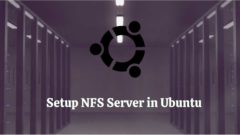 Setup Nfs Server Ubuntu